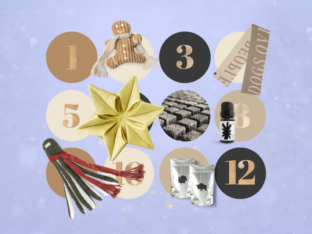 8 Pet Advent Calendars Worth the Countdown (and How to Pick One)