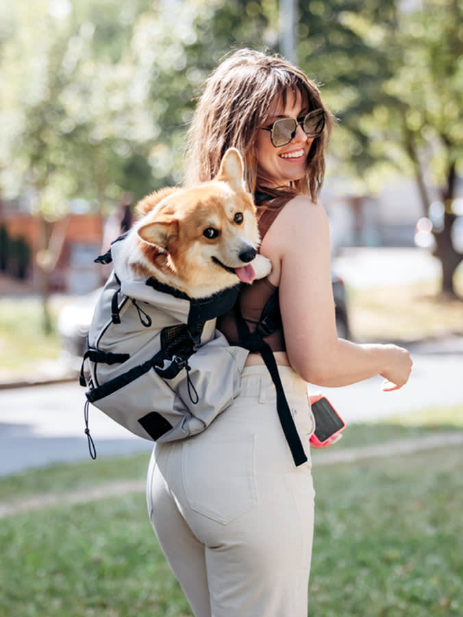 Before You Buy a Dog Backpack Carrier: The Weight Math and 9 Packs Worth It