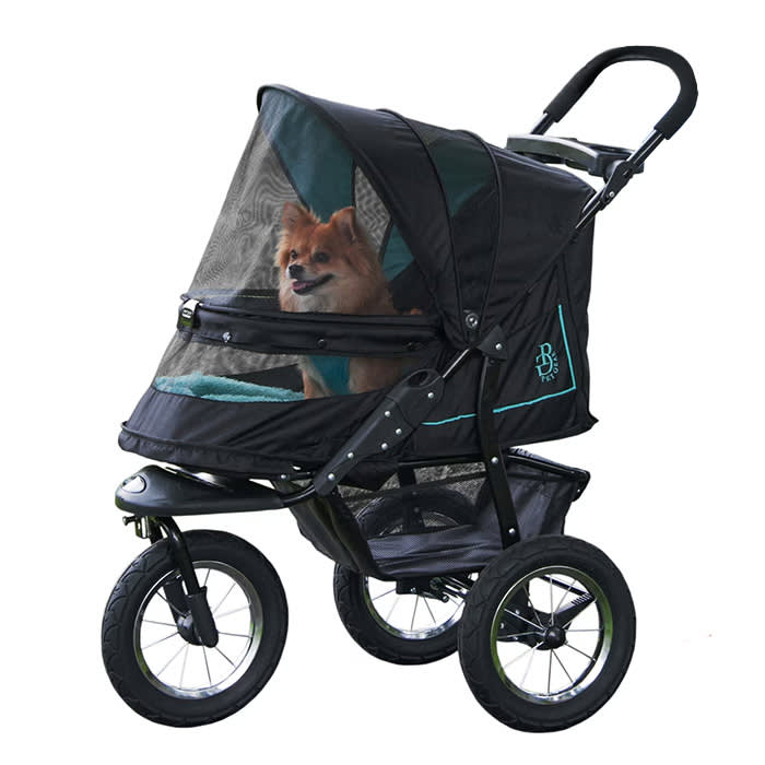 Gear that makes your dog easier to see