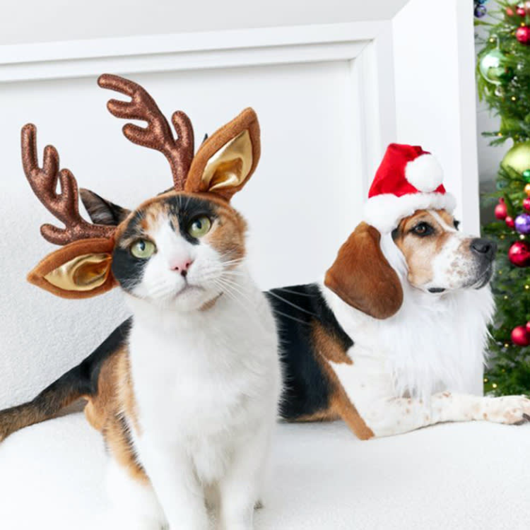 27 Holiday Gifts Matched to Your Pet's Actual Personality
