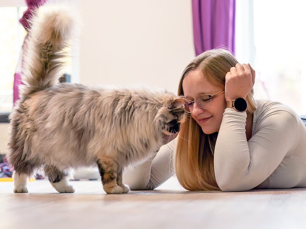Your Cat Isn't Grateful. They're Telling You They Feel Safe, Which Is Better