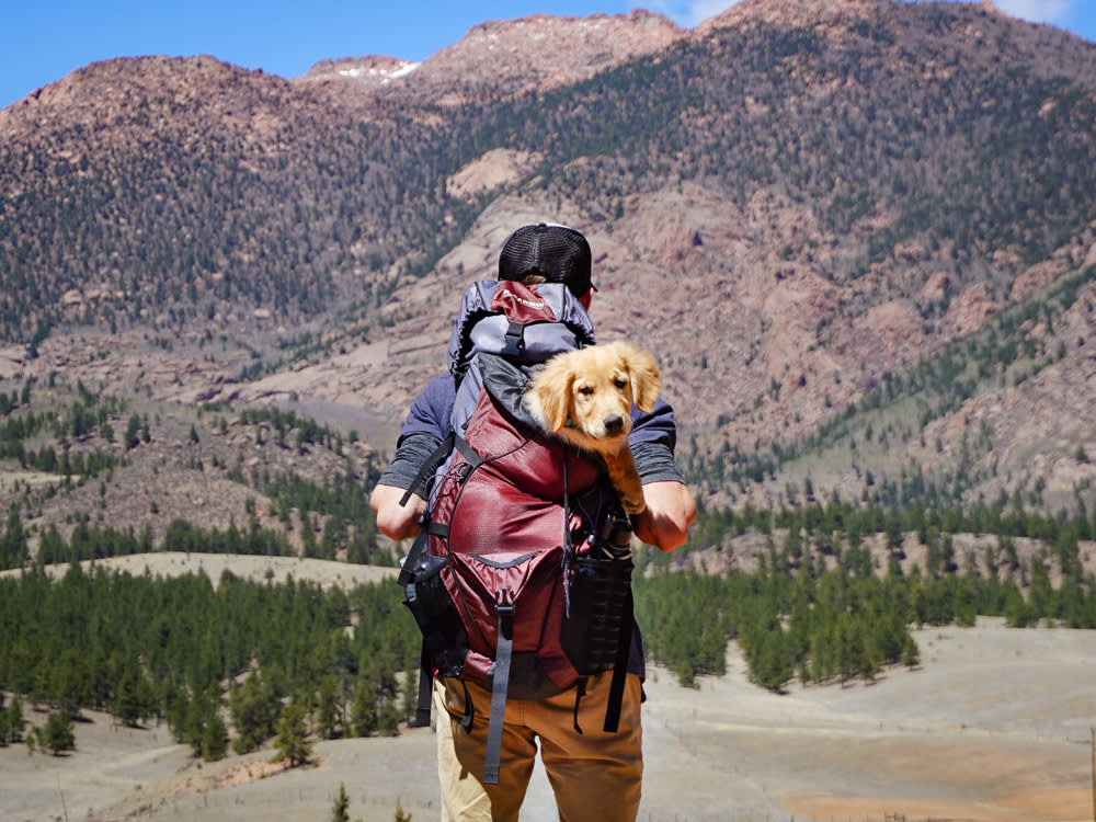 A Dog-Friendly Trip in Every State: 51 Spots Worth the Drive