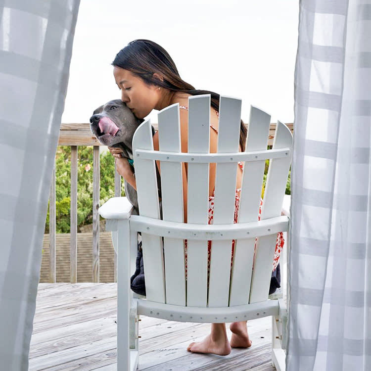 8 AAPI-Founded Pet Brands That Started With a Problem No One Would Solve