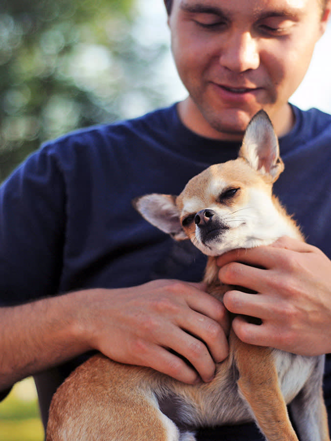 The 8 Longest-Living Dog Breeds (and the Real Reason They Last)