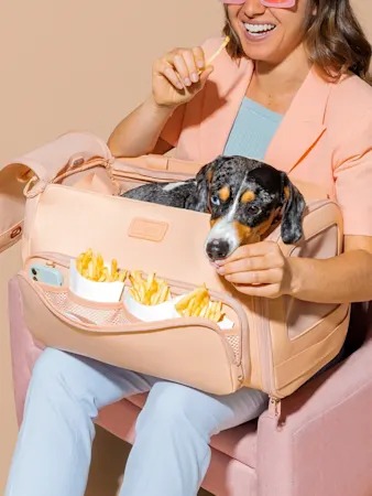 Buy the Crate for the Dog You Have: 8 Picks by Behavior, Not Looks