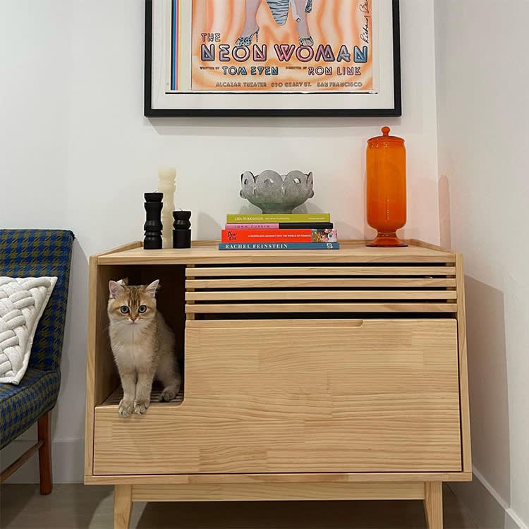 8 Litter Box Enclosures That Hide the Box Without a Cat Boycott