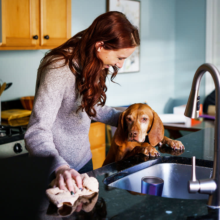 Pet-Safe Cleaning Is About How You Clean, Not Just What You Buy