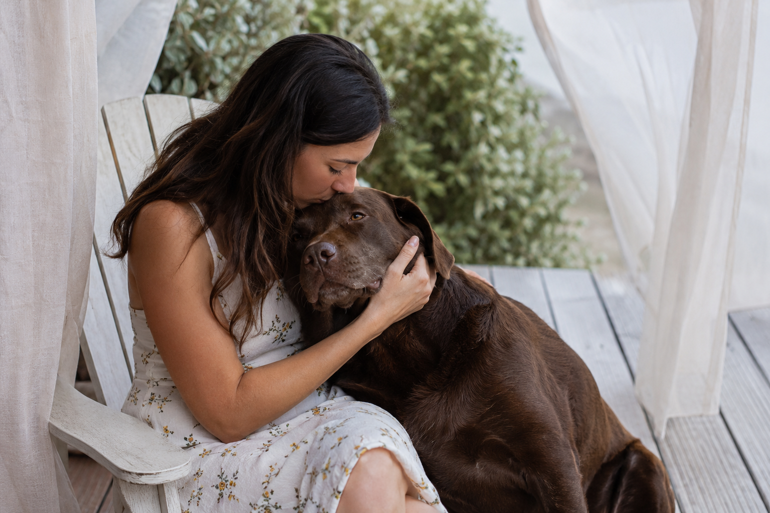 8 AAPI-Founded Pet Brands That Started With a Problem No One Would Solve