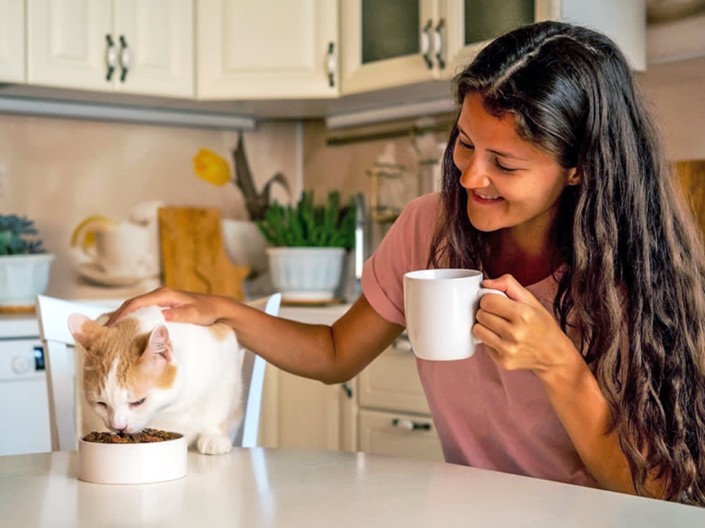The Right Fiber for Your Cat's Problem: A Match-It Guide