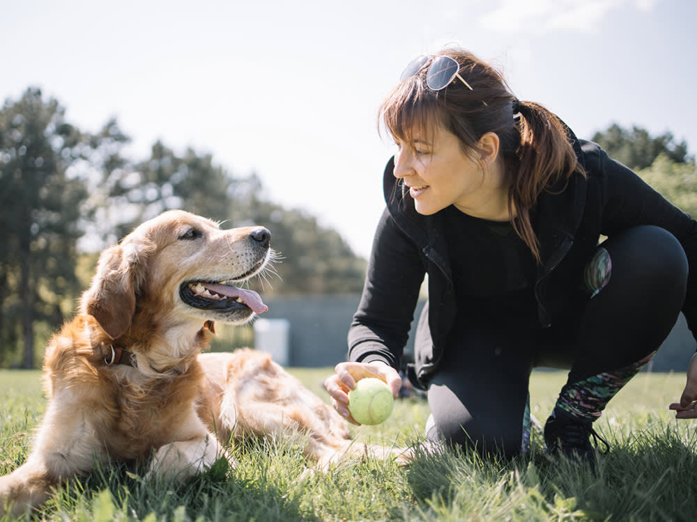 The Grey-Muzzle Advantage: 8 Things to Know Before You Adopt a Senior Dog