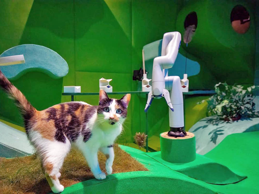 The 'AI Cat Utopia' That Actually Ran on People