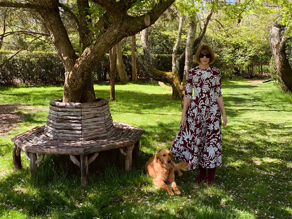The One Thing Anna Wintour Doesn't Control Is Her Dogs