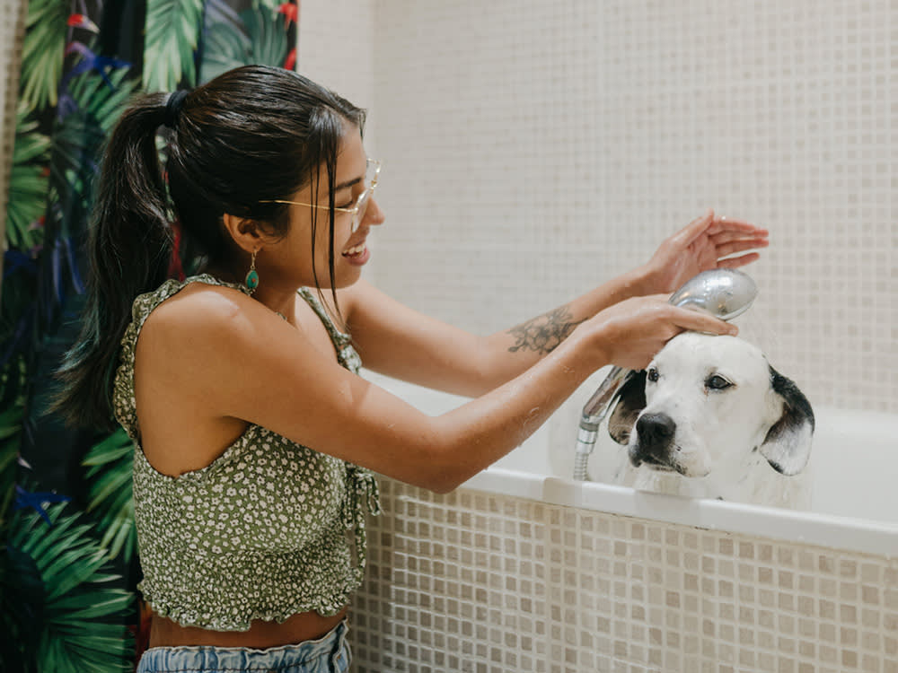 At-Home Grooming Is a Monthly Health Exam That Happens to Leave Your Dog Clean
