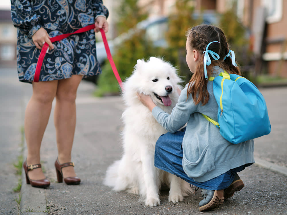 Your Dog Isn't Bad at Kids. The Bus Stop Is Just Built to Scare Them