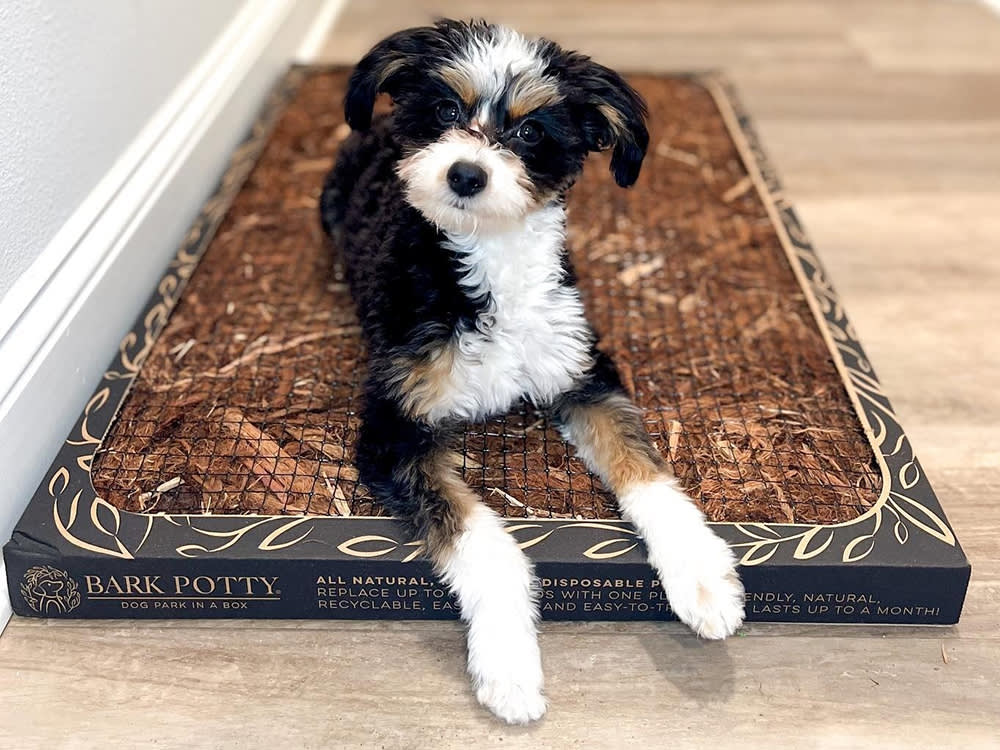 The Bark Potty Is Really a Math Problem: One Pad vs. 60 Plastic Ones