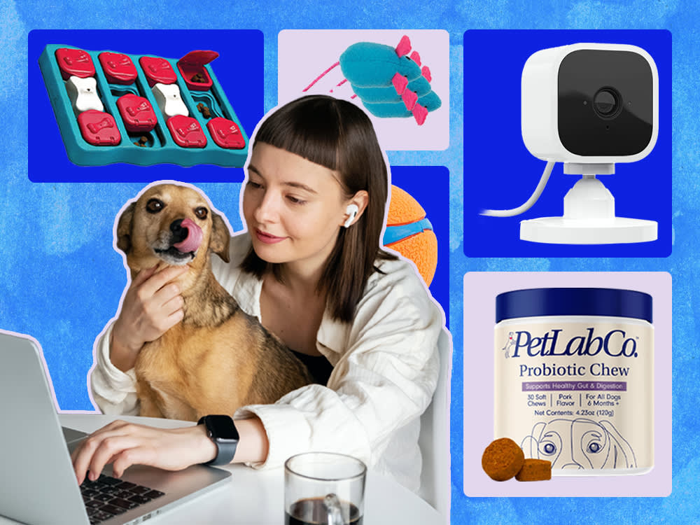 20 Pet Products Amazon Reviewers Actually Swear By