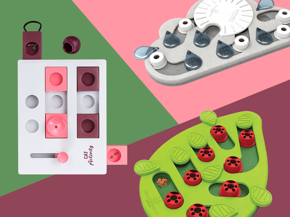 The Cat Puzzle Toy Plan: Start Easy, Level Up, Actually Change Behavior