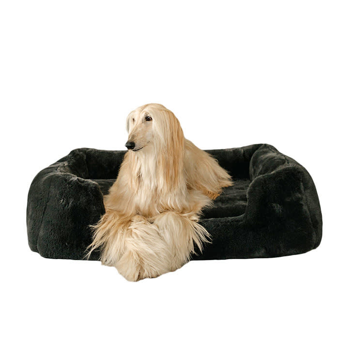 Lola Blankets Pet Bed