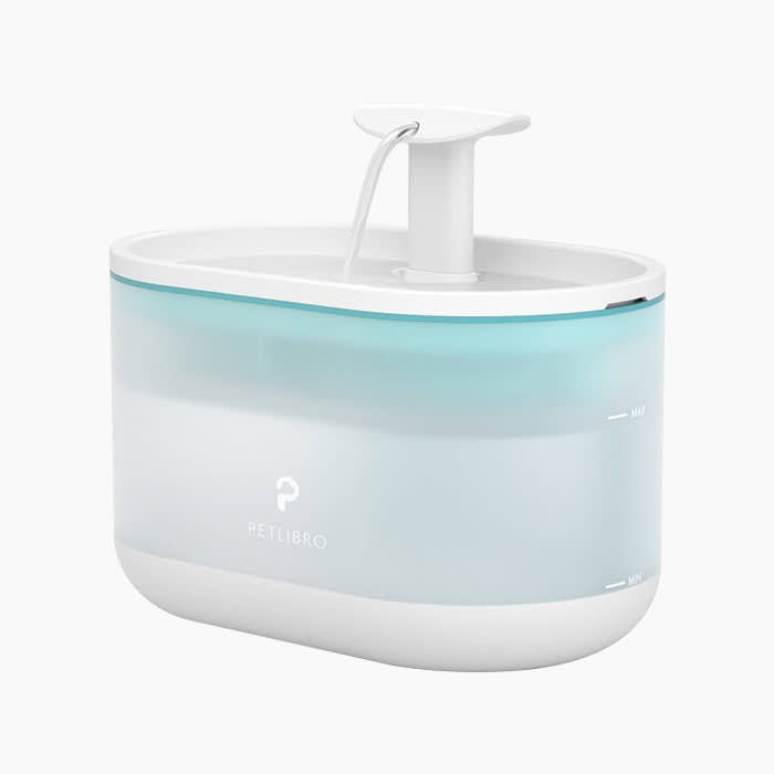 Best Cat Water Fountain