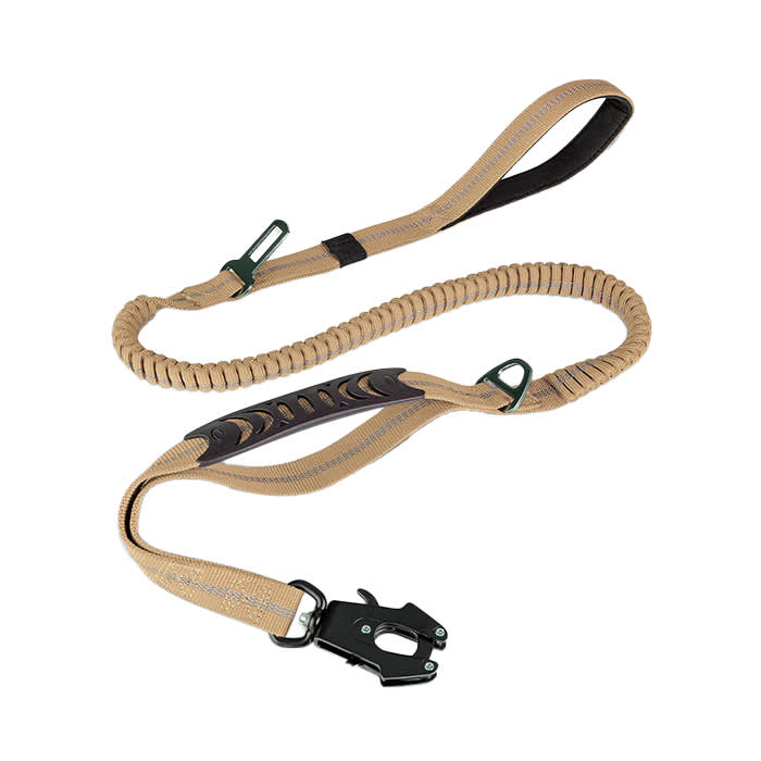 Joytale Bungee Leash