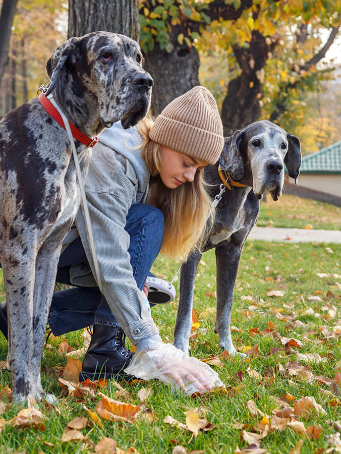 The Best Way to Dispose of Dog Poop Without Wrecking the Planet