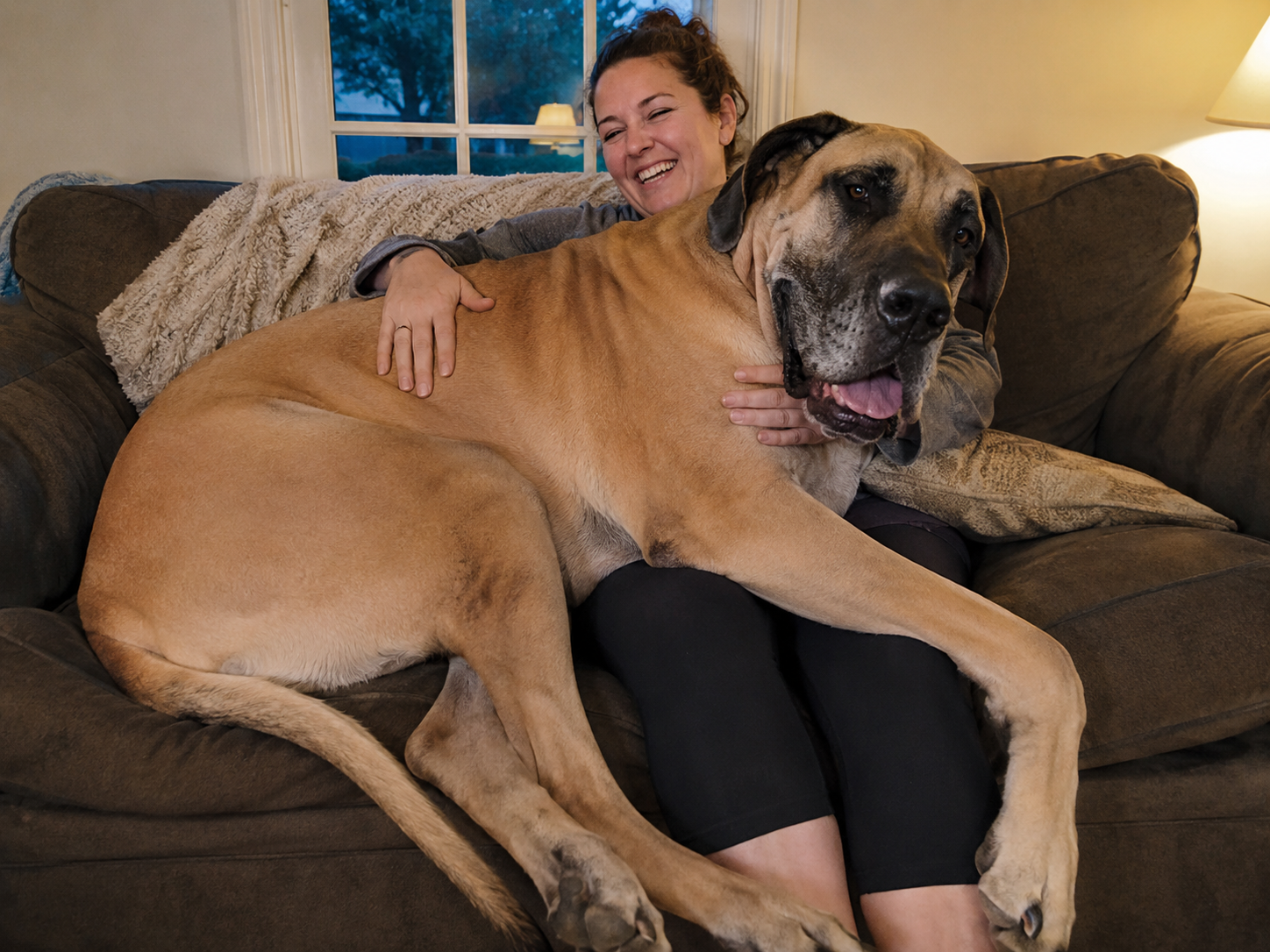 Your 80-Pound Dog Knows He's Not a Lapdog. He's Choosing You Anyway