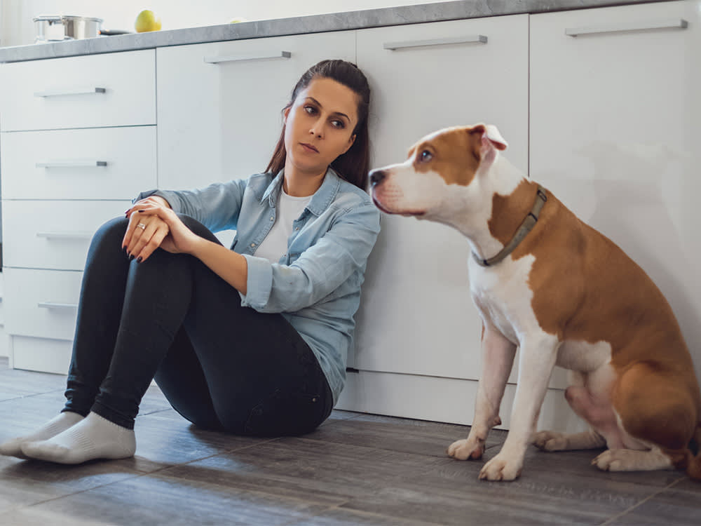 The Thing Dog Owners Hate Most Isn't the Poop