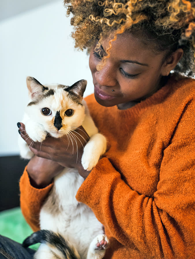 Bird Flu Barely Touches Dogs. For Cats, It's Different.