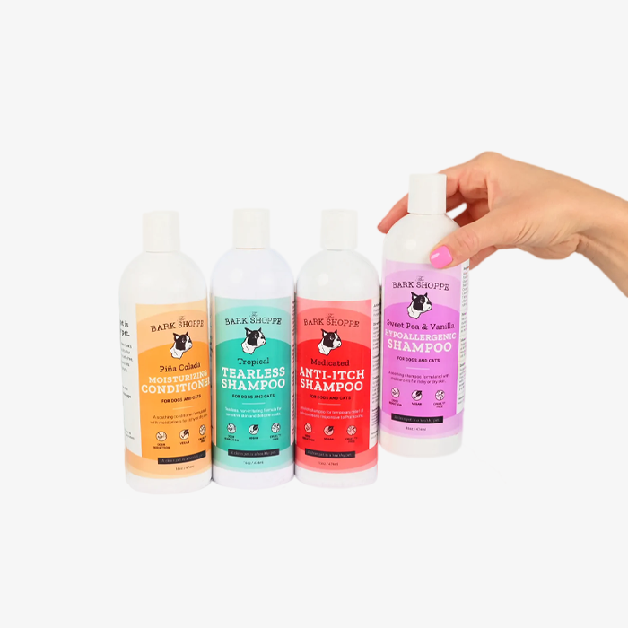 Colorful pet shampoo bottles from black-owned brands