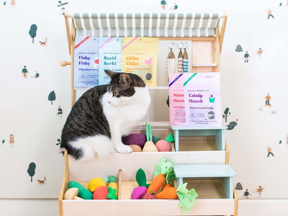 Why Cats Got Left Behind in the Premium Treat Boom (and What Bocce's Is Fixing)
