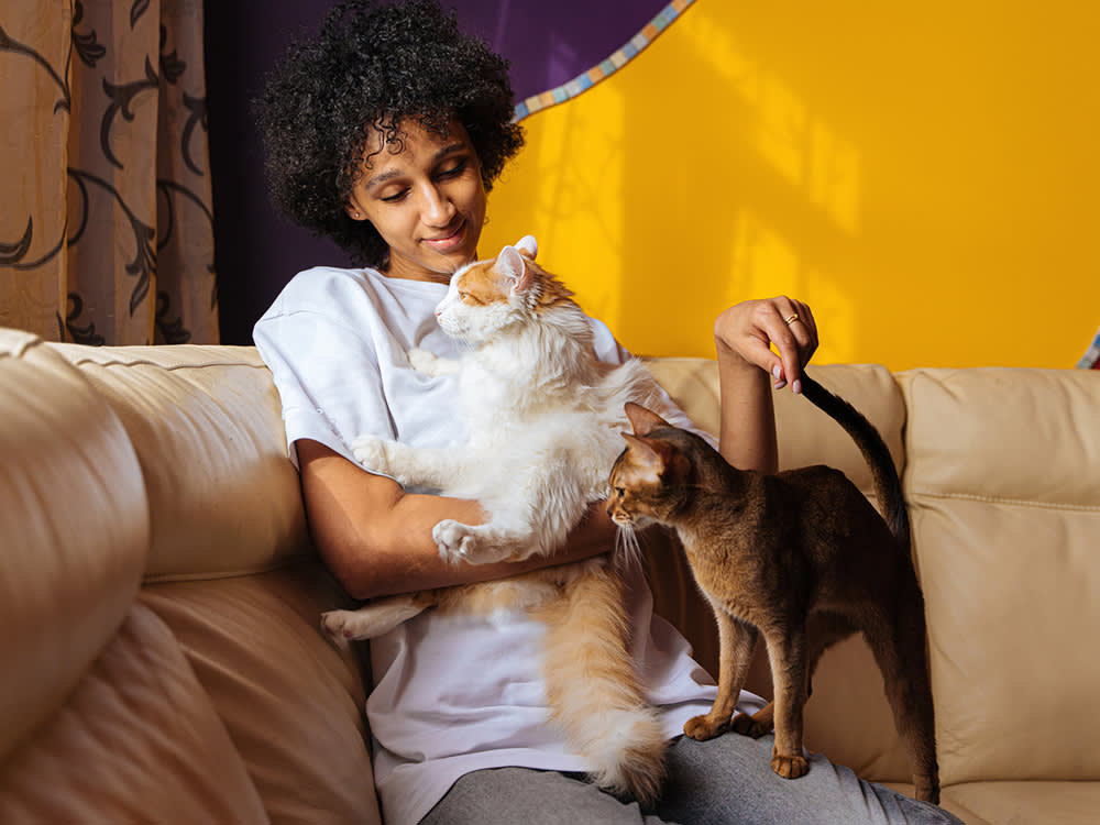 Adopting Two Bonded Pets Sounds Like Double the Work. The Math Says Otherwise.