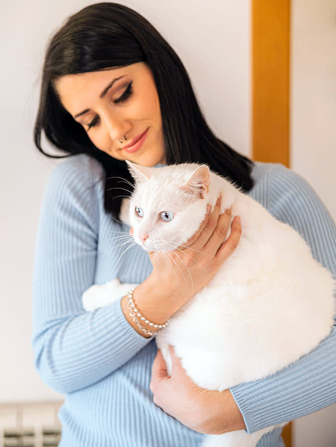 By the Time You Know Your Cat Is Pregnant, She's Nearly Due