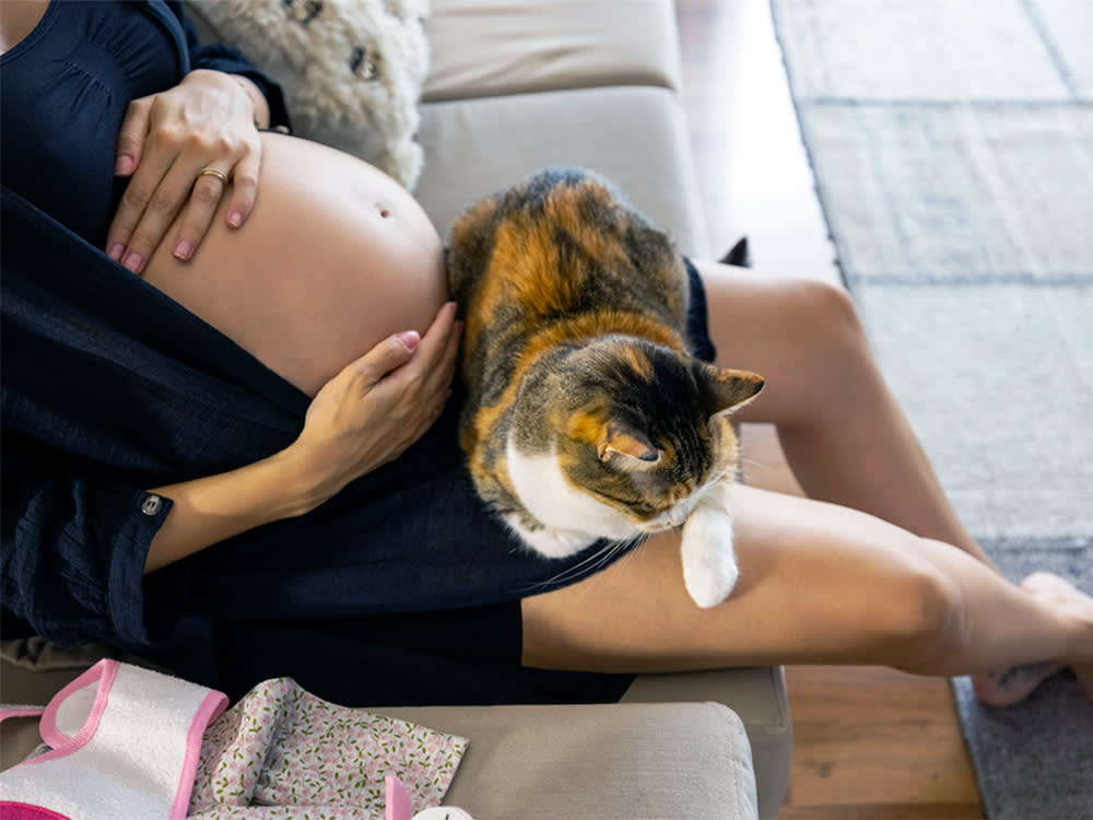 Your Cat Doesn't Know You're Pregnant. It Knows Your House Is Changing