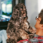 Your Dog Can't Catch You in a Lie. It Can Decide You're Not Worth Trusting.