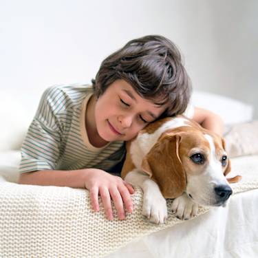 Your Kid's Lice Can't Move Into Your Dog. Here's the Biology.