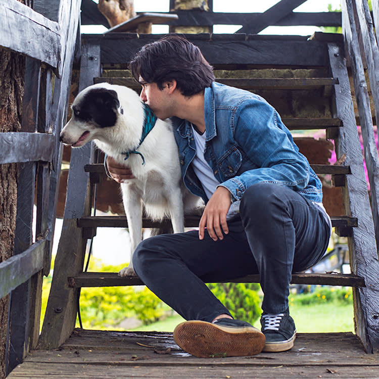 Canine Dysfunctional Behavior: Why the First Step Is Ruling It Out