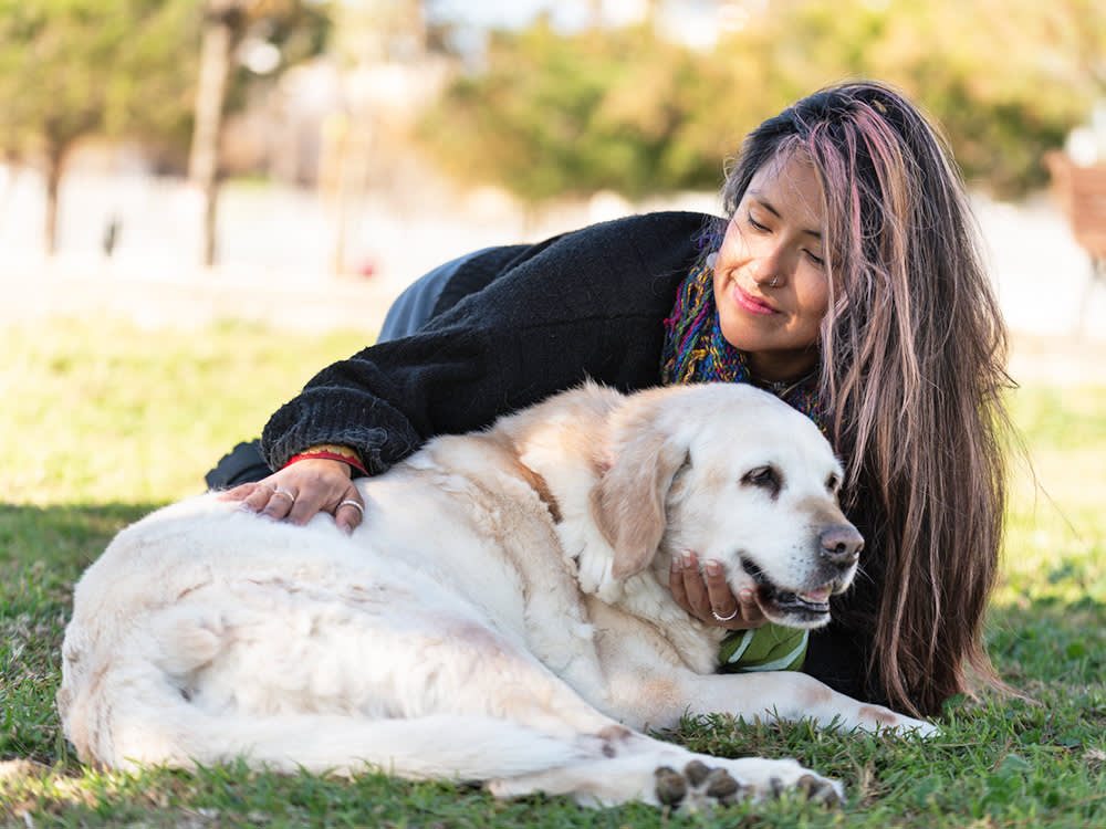 Hip Dysplasia Starts Long Before the Limp. Most Owners Catch It Too Late.