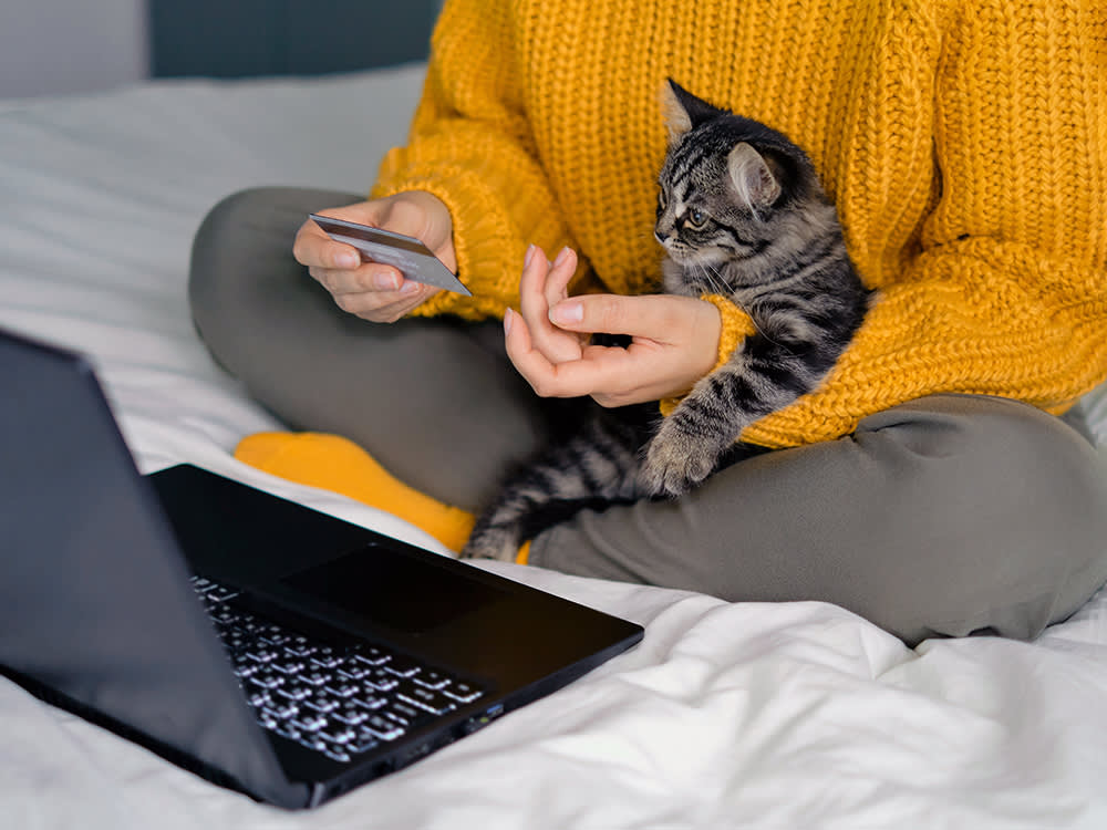 Can't Afford the Vet Bill? Don't Panic-Post a GoFundMe Yet