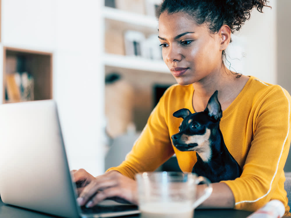 You Can't Write Off Your Dog. Here Are 7 Times You Can Anyway.