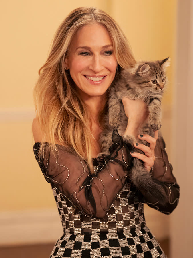 Carrie Bradshaw's Kitten Was a Foster. Then Sarah Jessica Parker Kept Him.