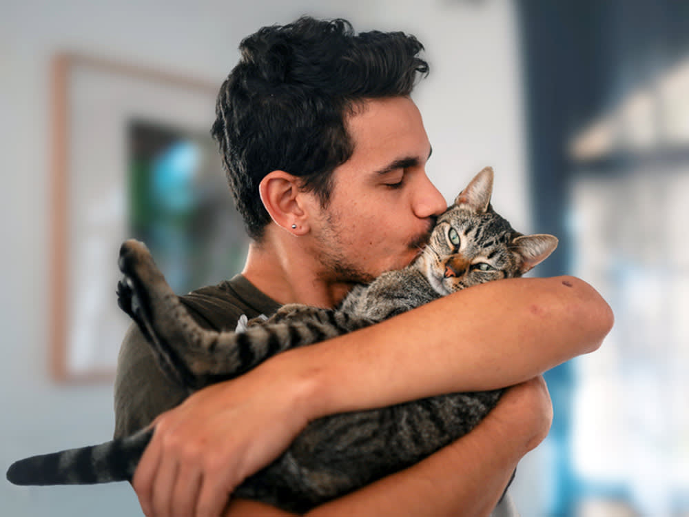 Your Cat Isn't Being Spiteful. Almost Every 'Bad Cat' Behavior Is Anxiety.