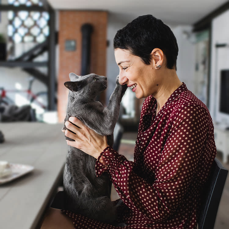 Your Cat's Fur Pattern Says Almost Nothing About Who They Are