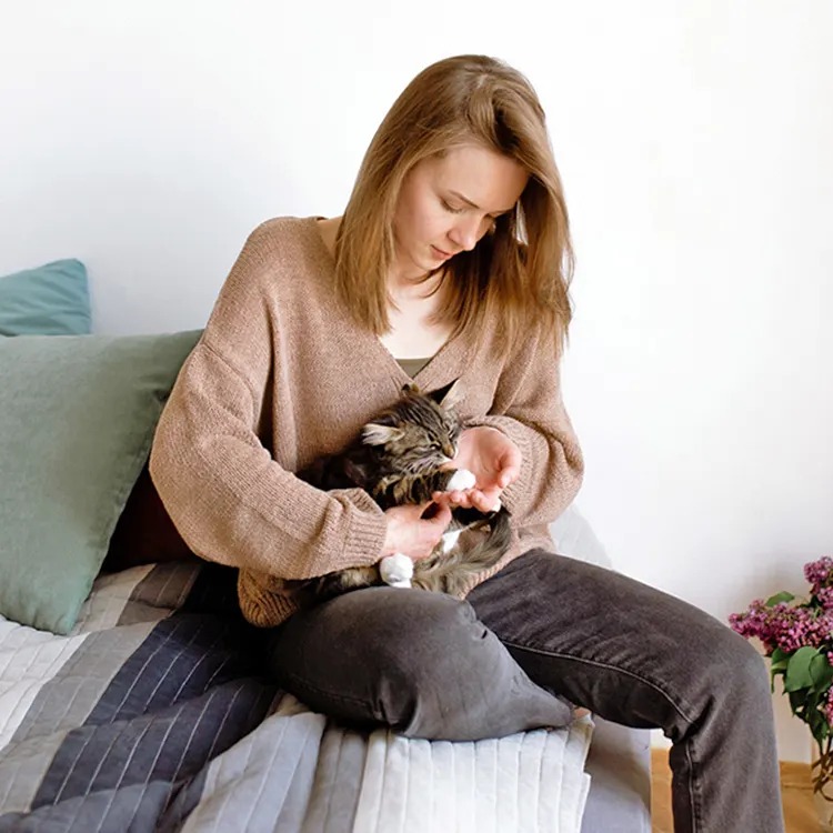 Your Cat Sounds Stuffy. The Noise Isn't the Emergency, the Effort Is.