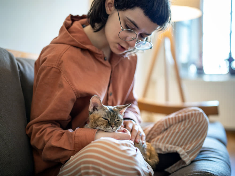 'Is My Cat Depressed?' Is the Wrong First Question