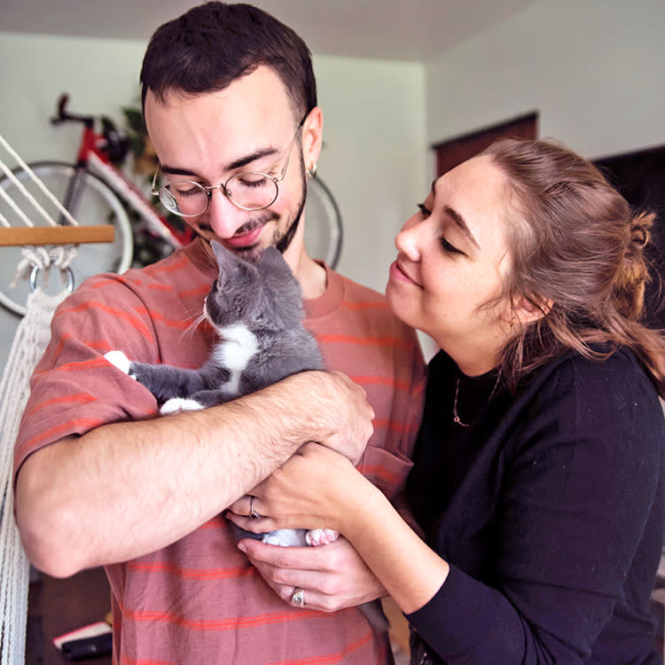 Your Cat's 'Favorite Person' Is a Job, Not a Feeling. You Can Take It.