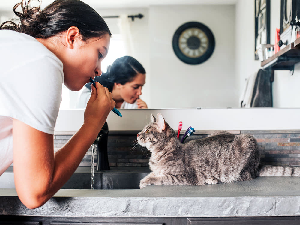 Your Cat Doesn't Care About the Bathroom. They Care That You Finally Sat Down.