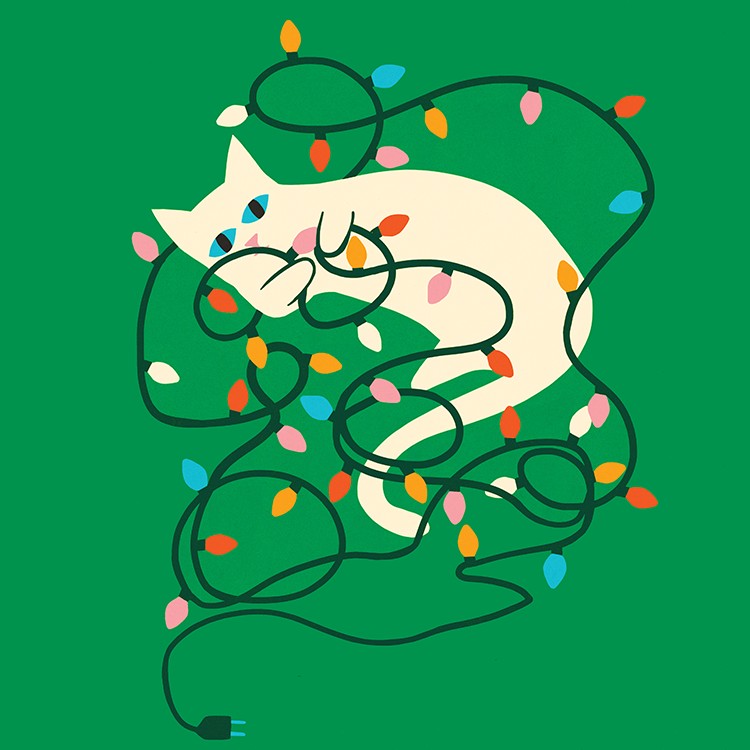Your Cat Isn't Wrecking the Holidays. The Holidays Are Baiting Your Cat.