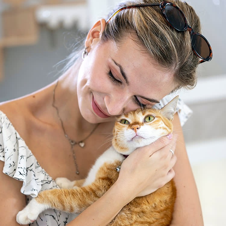 Your Cat Isn't Judging You. It's Running a Threat Assessment.