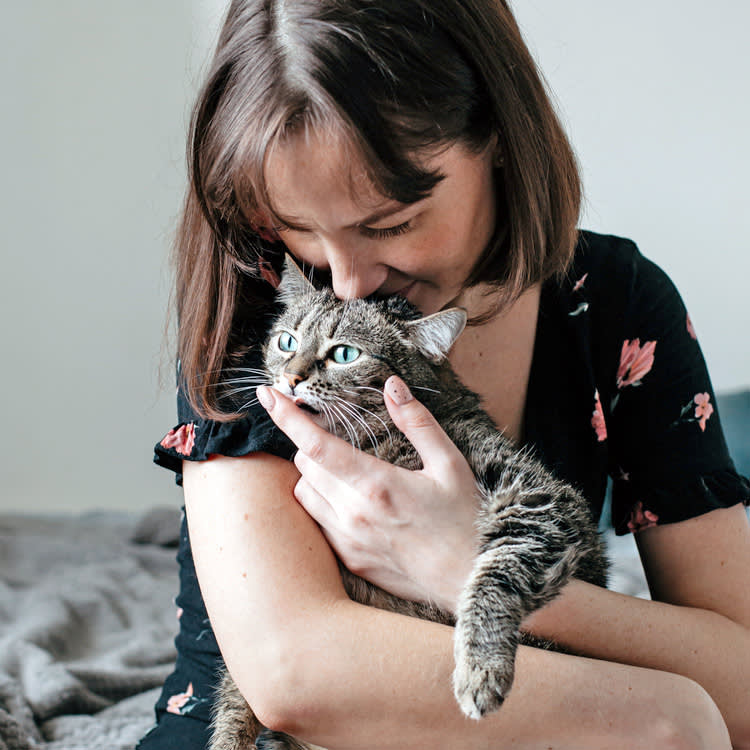Your Cat Isn't Kissing You. Watch What Happens Three Seconds Later.