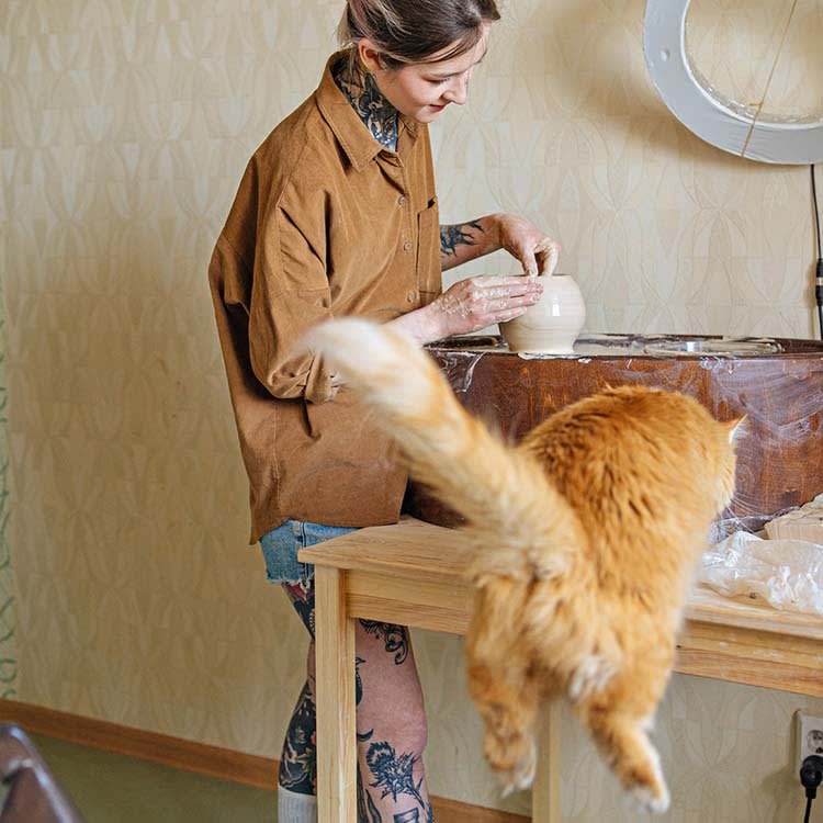 Your Cat Isn't Aloof, Waterproof, or Low-Maintenance: 8 Myths to Retire